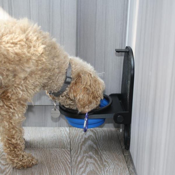 Hundetränke Hundenapf